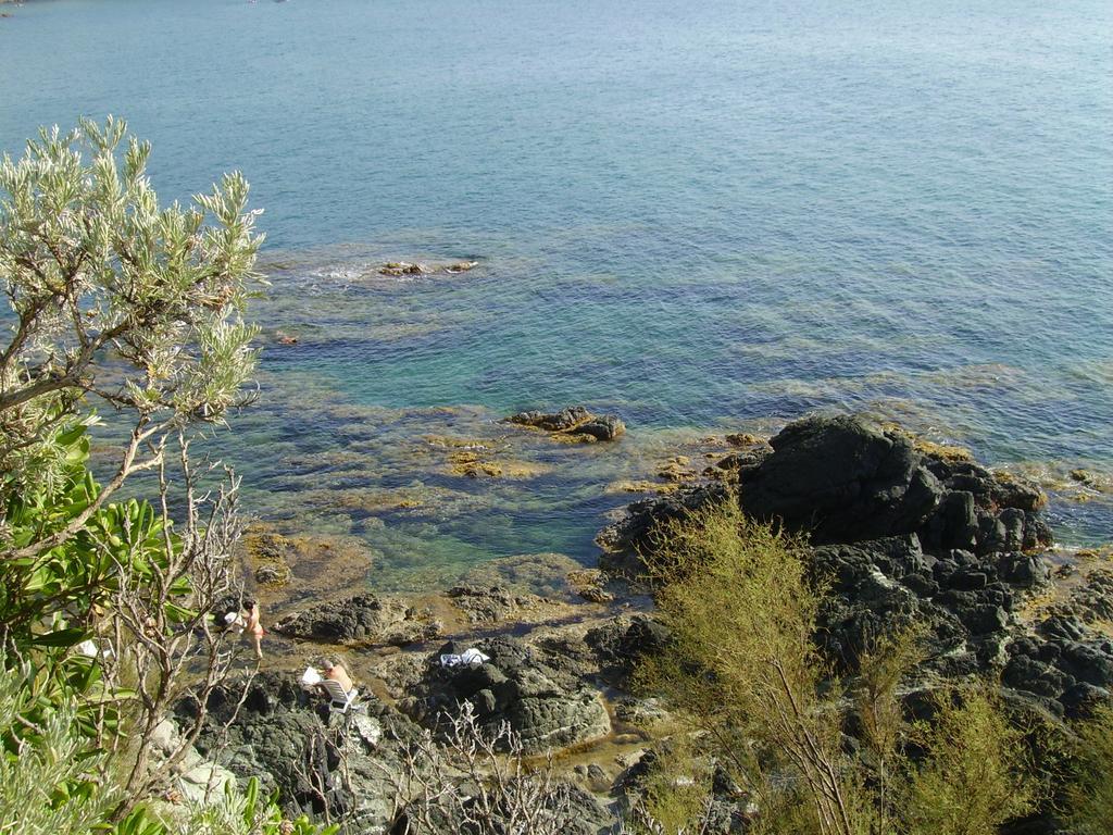 Hotel Leopoldo Castiglioncello Eksteriør billede